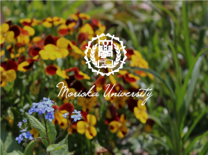 紀要『比較文化研究』を機関リポジトリに公開いたしました。